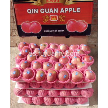 Manzana Qinguan fresca con color de rayas